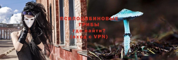 гашик Балабаново