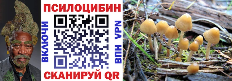 Псилоцибиновые грибы Cubensis  это как зайти  Топки 